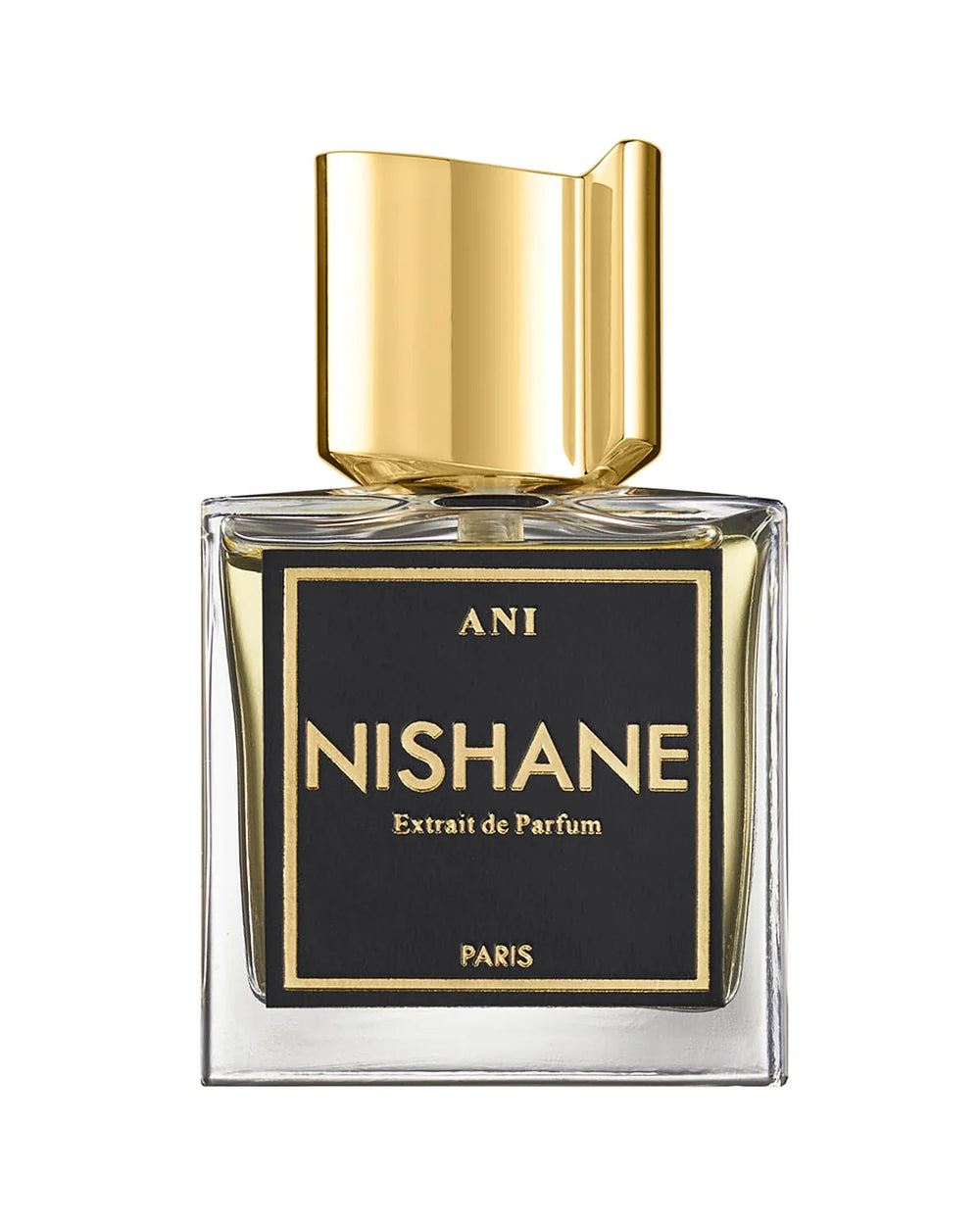 Nishane Ani Extrait de Parfum 100 ml bottle