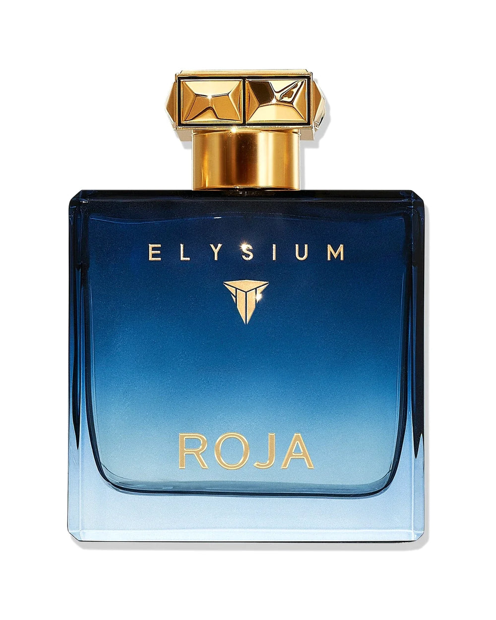 Roja Parfums Elysium Pour Homme Eau de Parfum 100 ml bottle