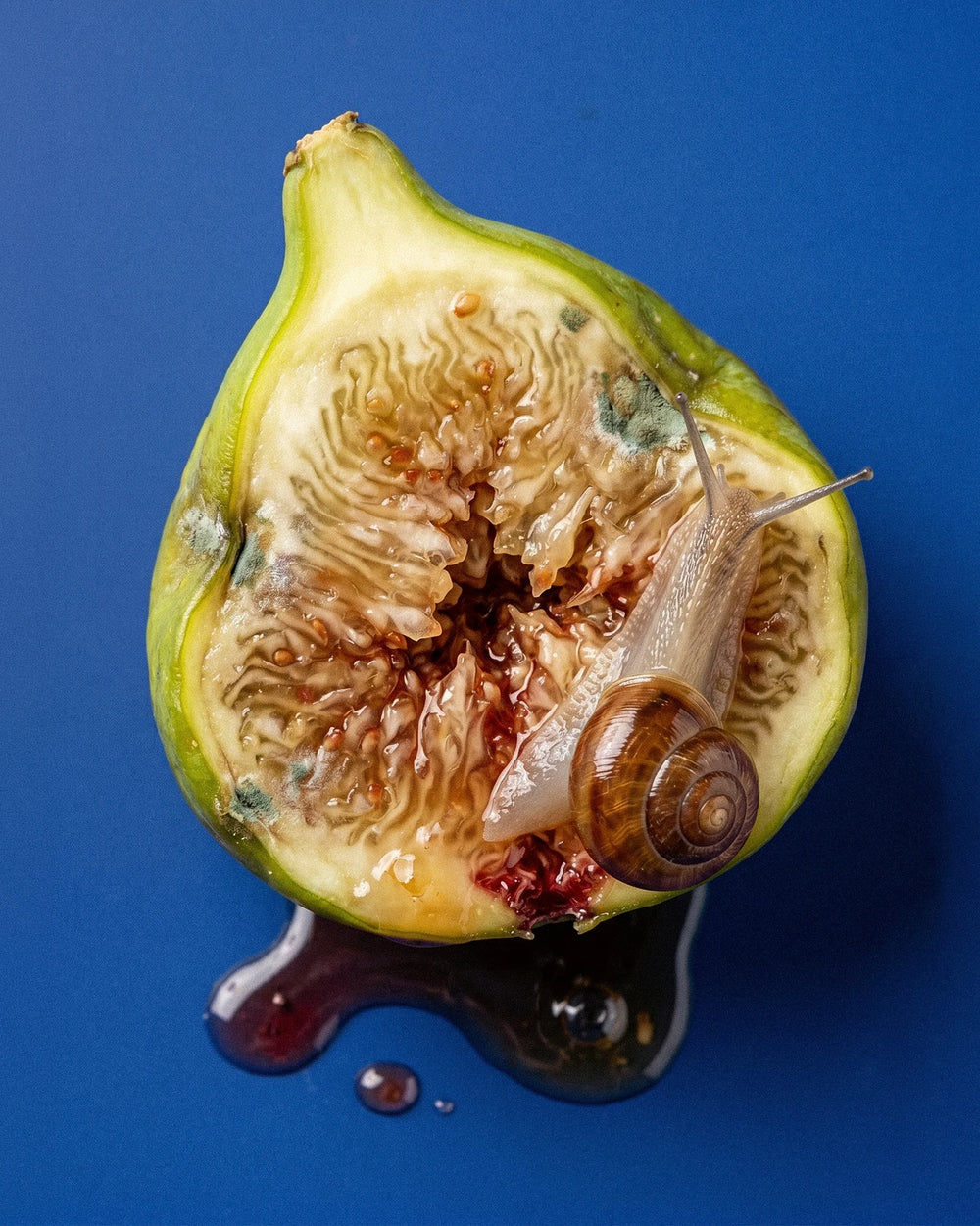 BORNTOSTANDOUT Fig Porn Eau de Parfum (50ml) – Bild 4