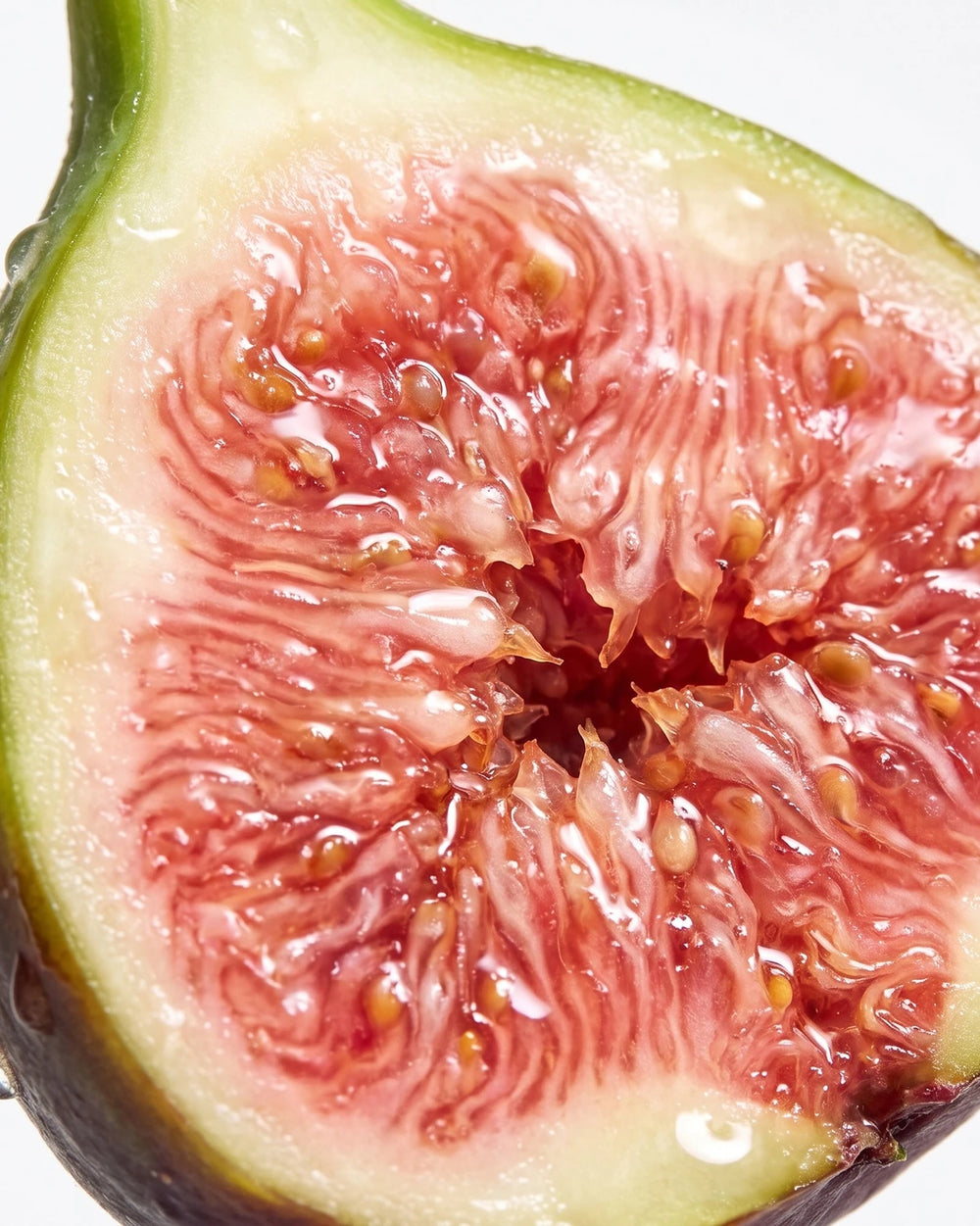 BORNTOSTANDOUT Fig Porn Eau de Parfum (50ml) – Bild 6