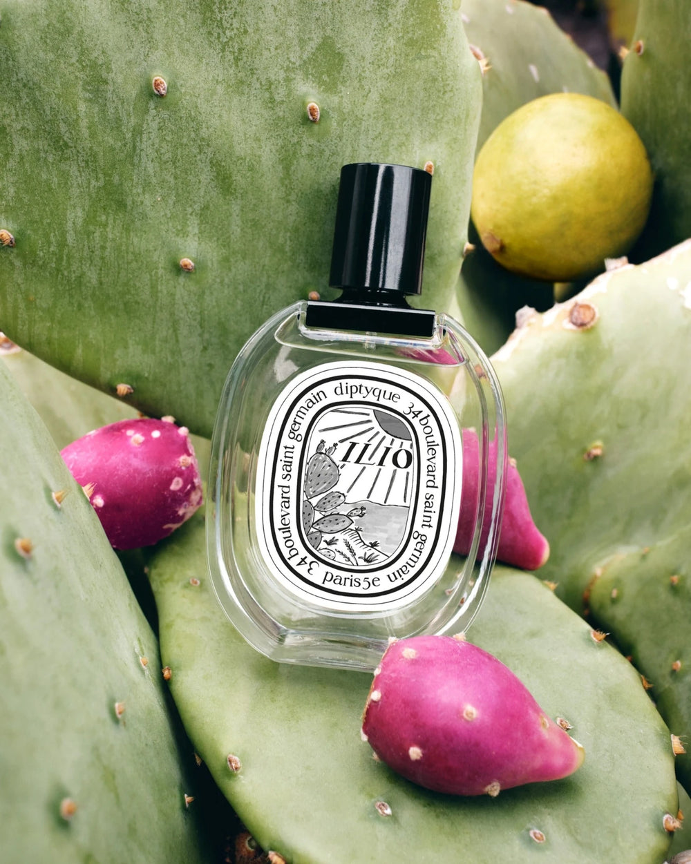 Diptyque Ilio Eau de Toilette (100ml) – Bild 3