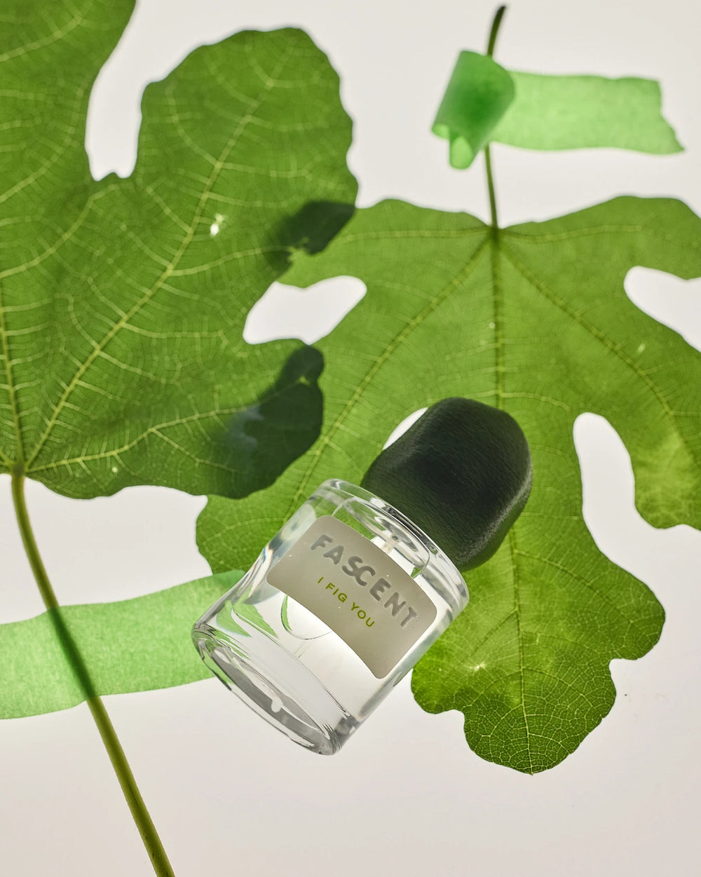 Fascent I Fig You Eau de Parfum (30ml) – Bild 4