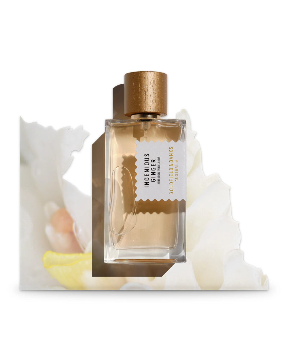 Goldfield &amp; Banks Ingenious Ginger Eau de Parfum (100ml) – Bild 2
