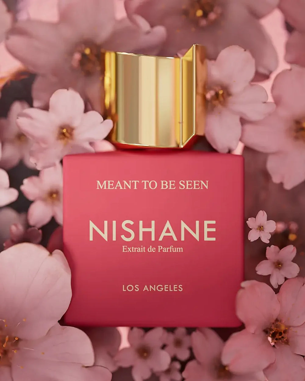 Nishane Meant to Be Seen Extrait de Parfum (50ml) – Bild 2