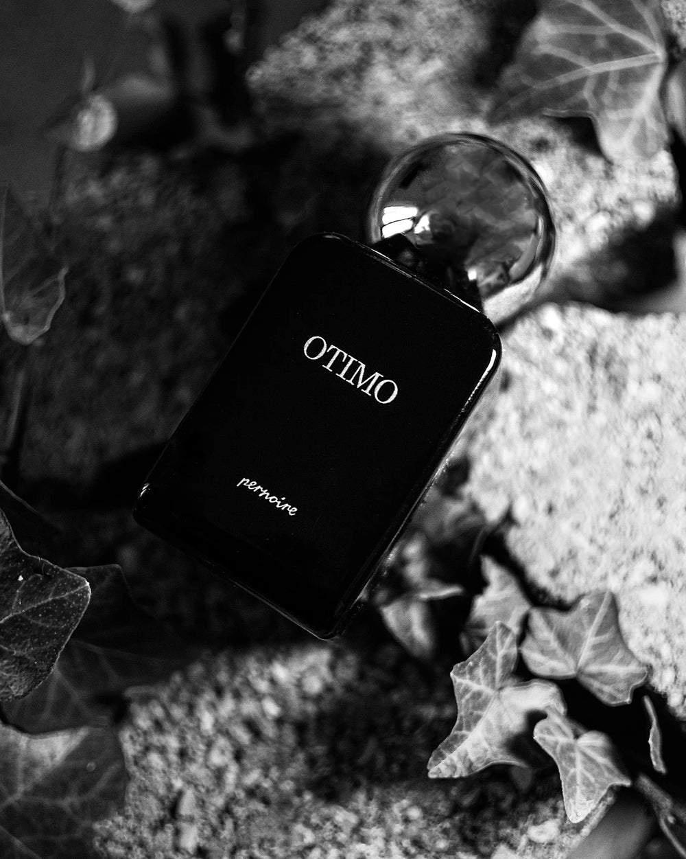 Pernoire Otimo Extrait de Parfum (50ml) – Bild 3
