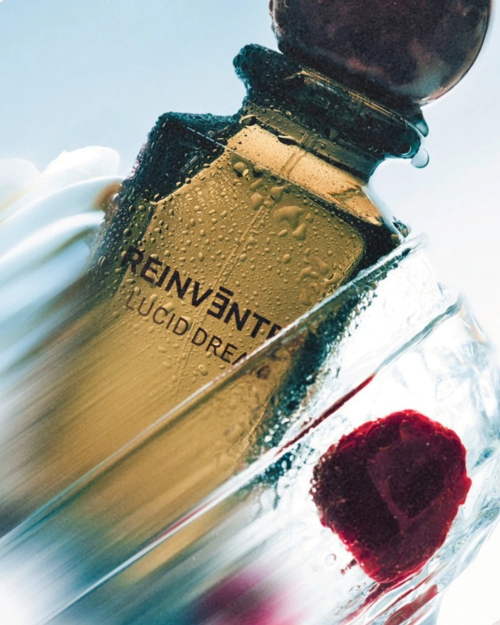 Reinvented Lucid Dream Extrait de Parfum (75ml) – Bild 6
