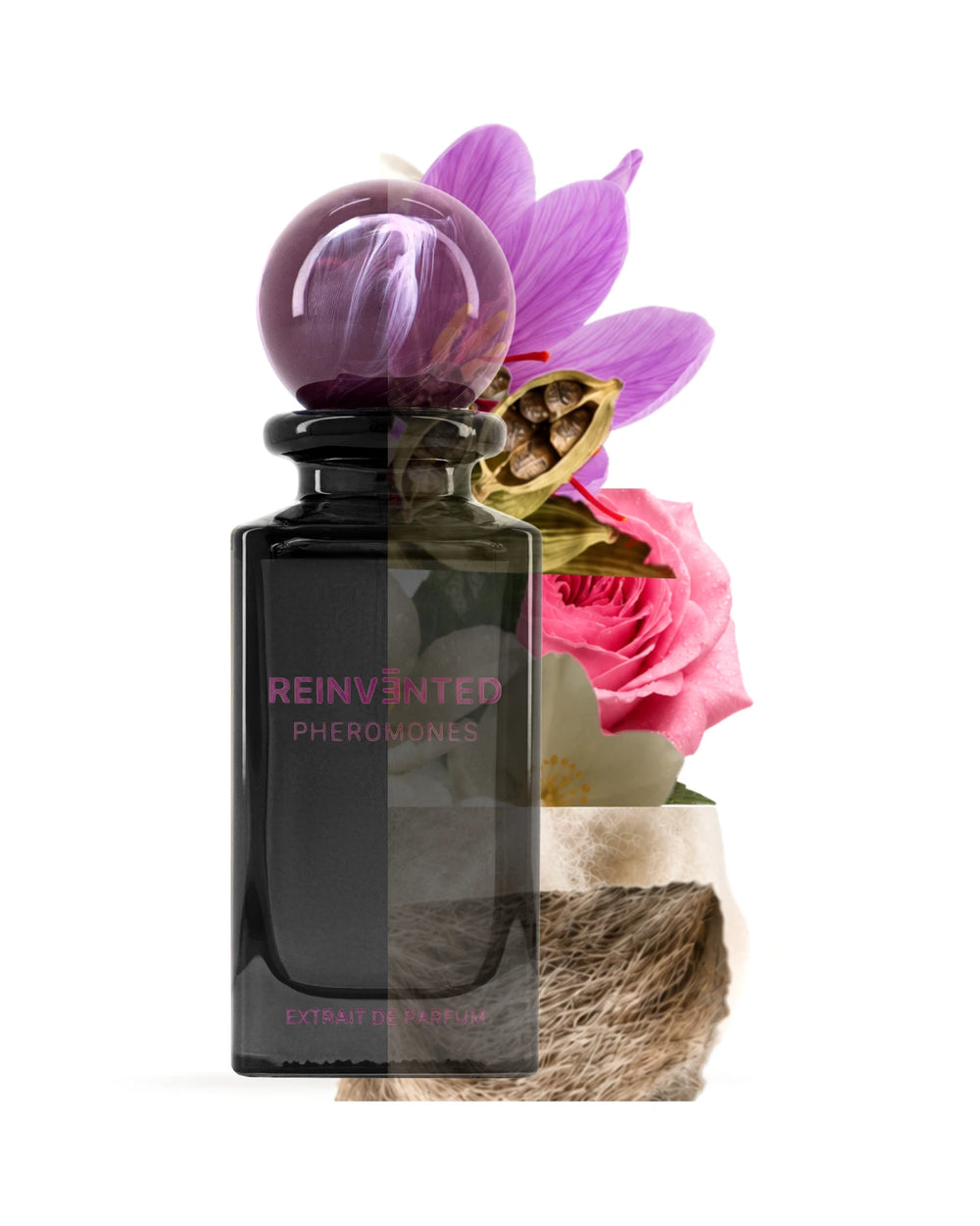 Reinvented Pheromones Extrait de Parfum (75ml) – Bild 5