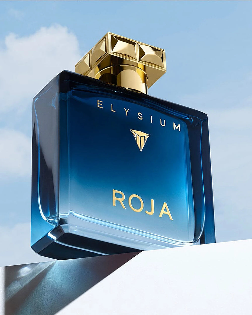 Roja Parfums Elysium Pour Homme Eau de Parfum (100ml) – Bild 3